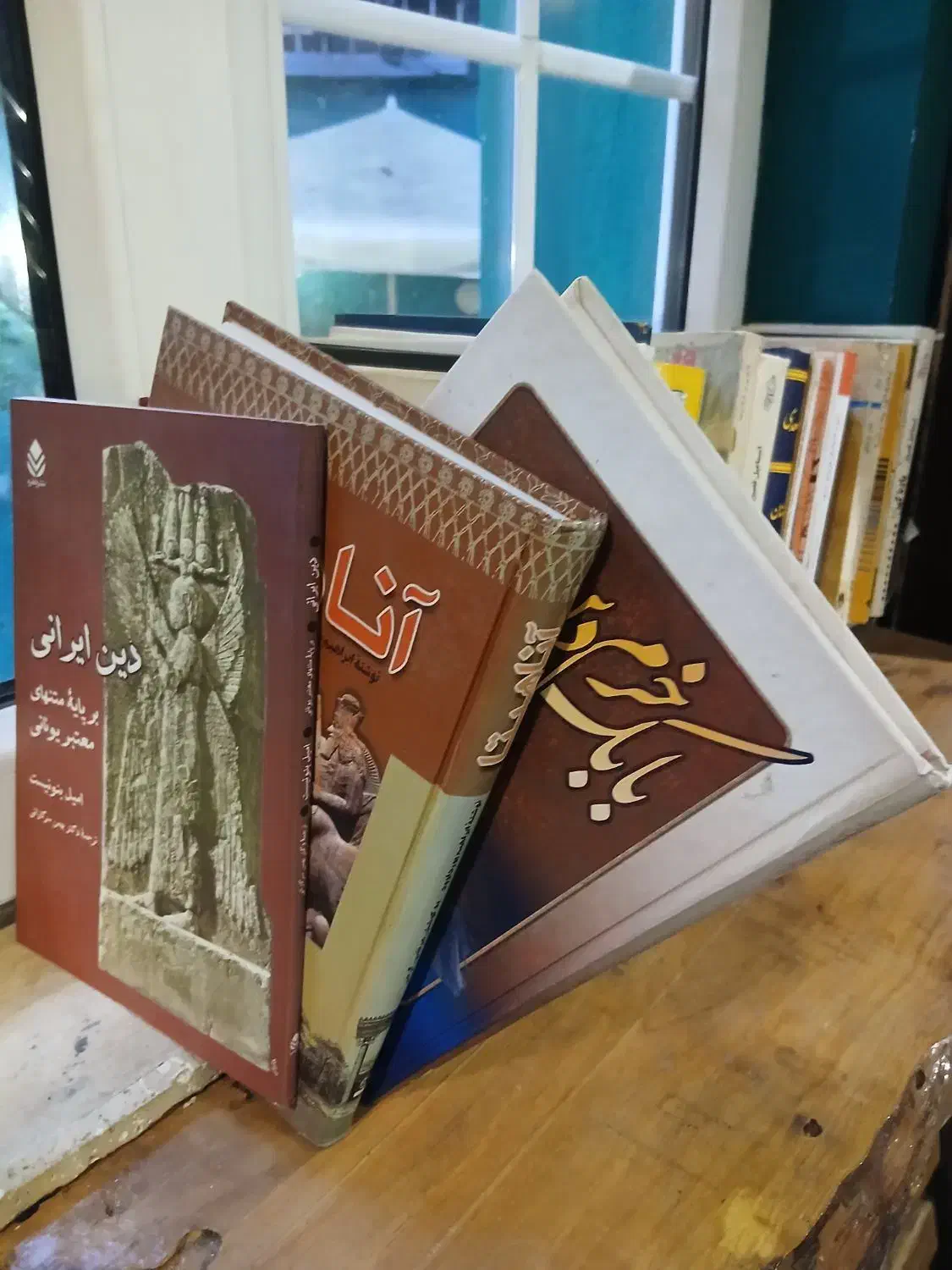 کتابهای قدیمی و جدید|کتاب و مجله تاریخی|رشت, کاکتوس|دیوار