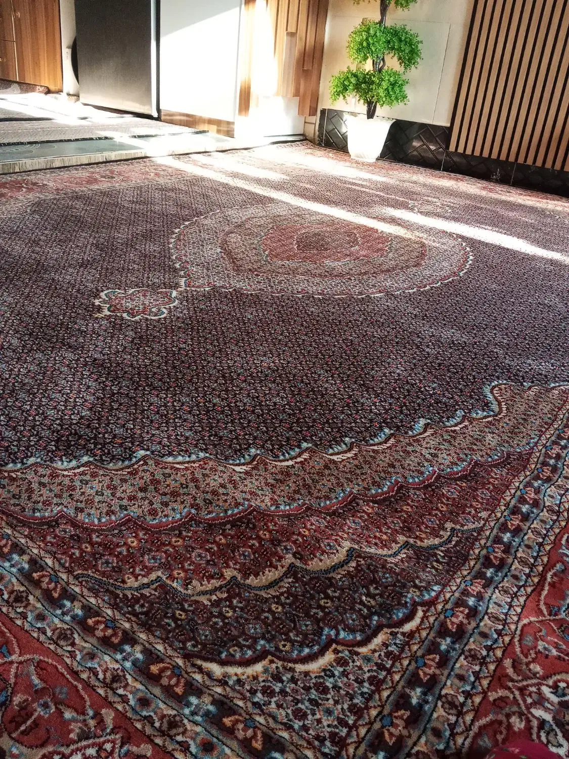 ۵ تا فرش ریزه ماهی در حد نو|فرش|گرمی, |دیوار