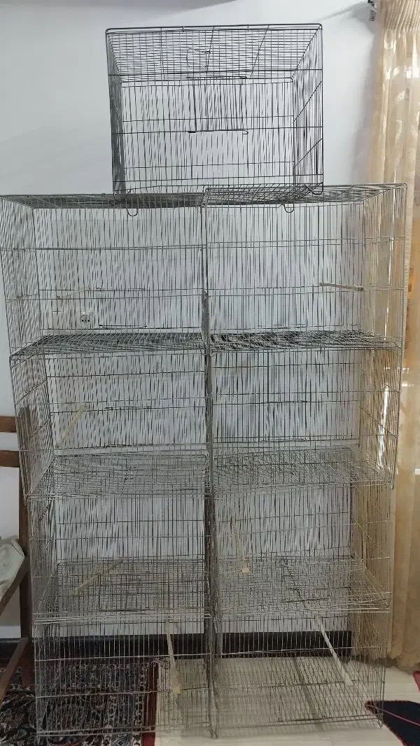 قفس پرنده|لوازم جانبی حیوانات|سبزوار, پیام|دیوار