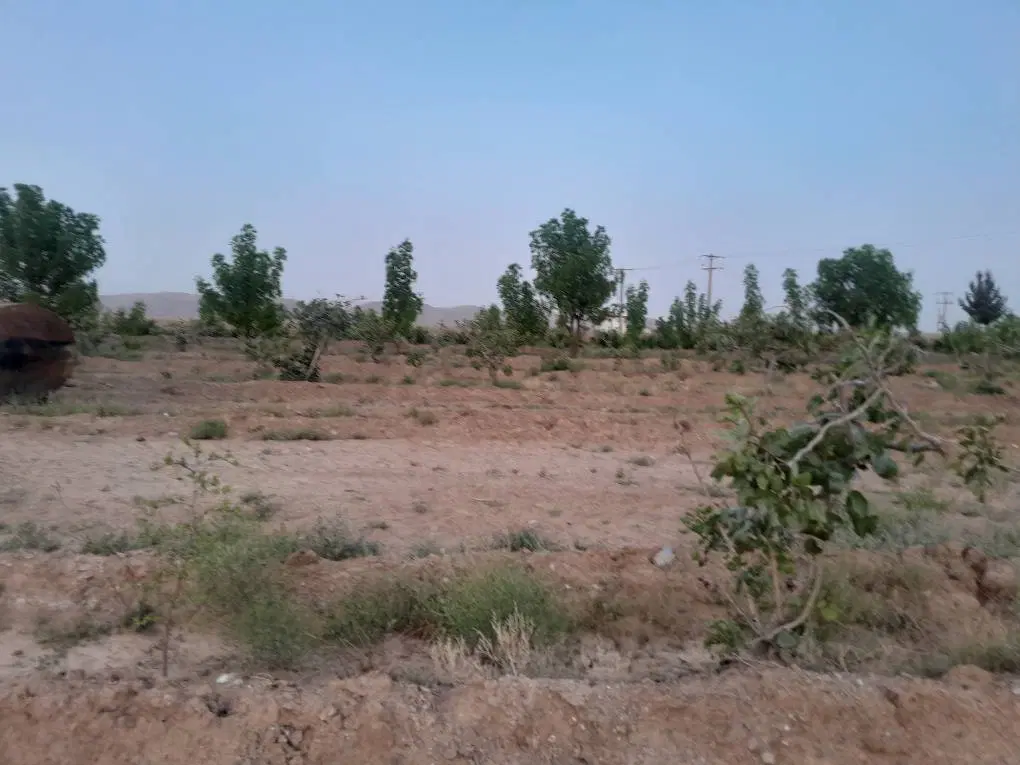 تصویر 6