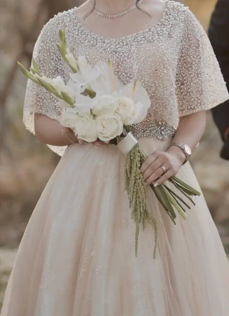 لباس مجلسی و نامزدی|لباس|ایلام, |دیوار