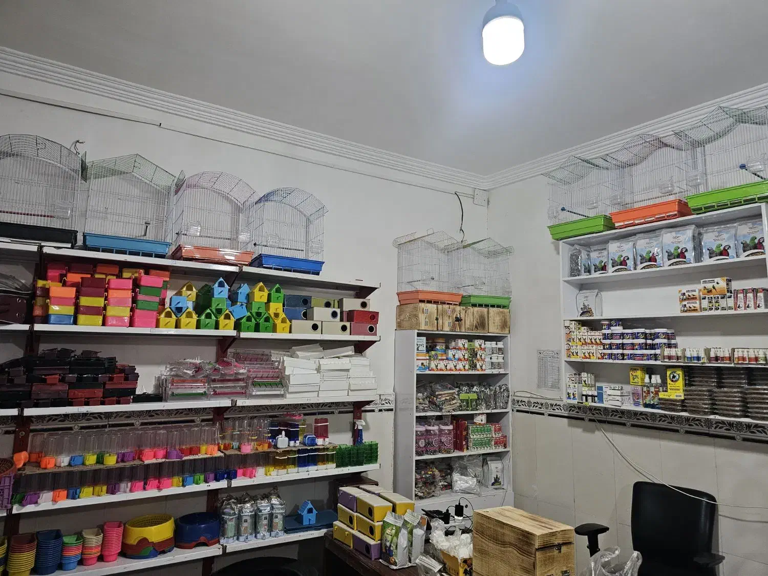 واگذاری پرنده سرای طاووس گلشهر|فروشگاه و مغازه|چابهار, |دیوار