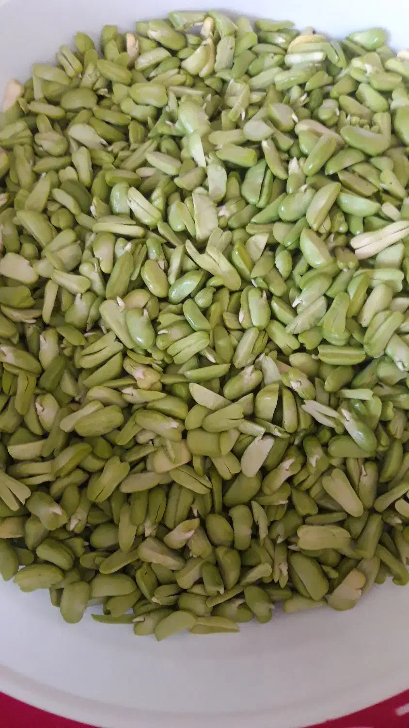 سبزی قرمه و باقلا دوپوسته|خوردنی و آشامیدنی|بافق, |دیوار
