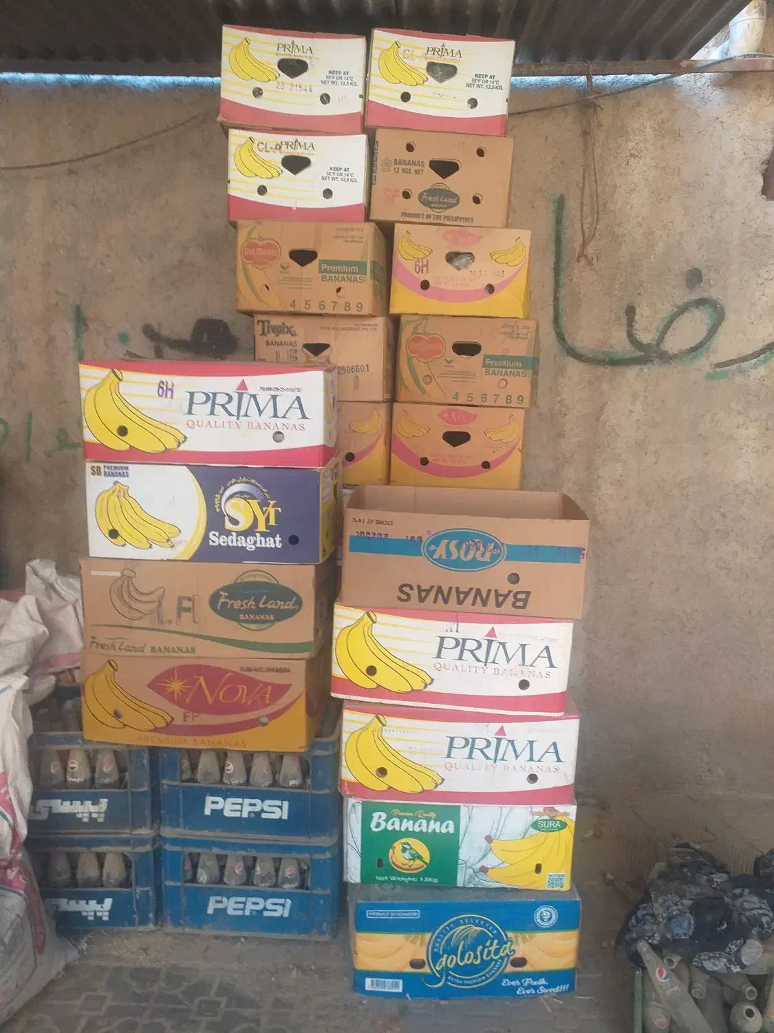 کارتون موزی|عمده‌فروشی|نیشابور, فضل|دیوار