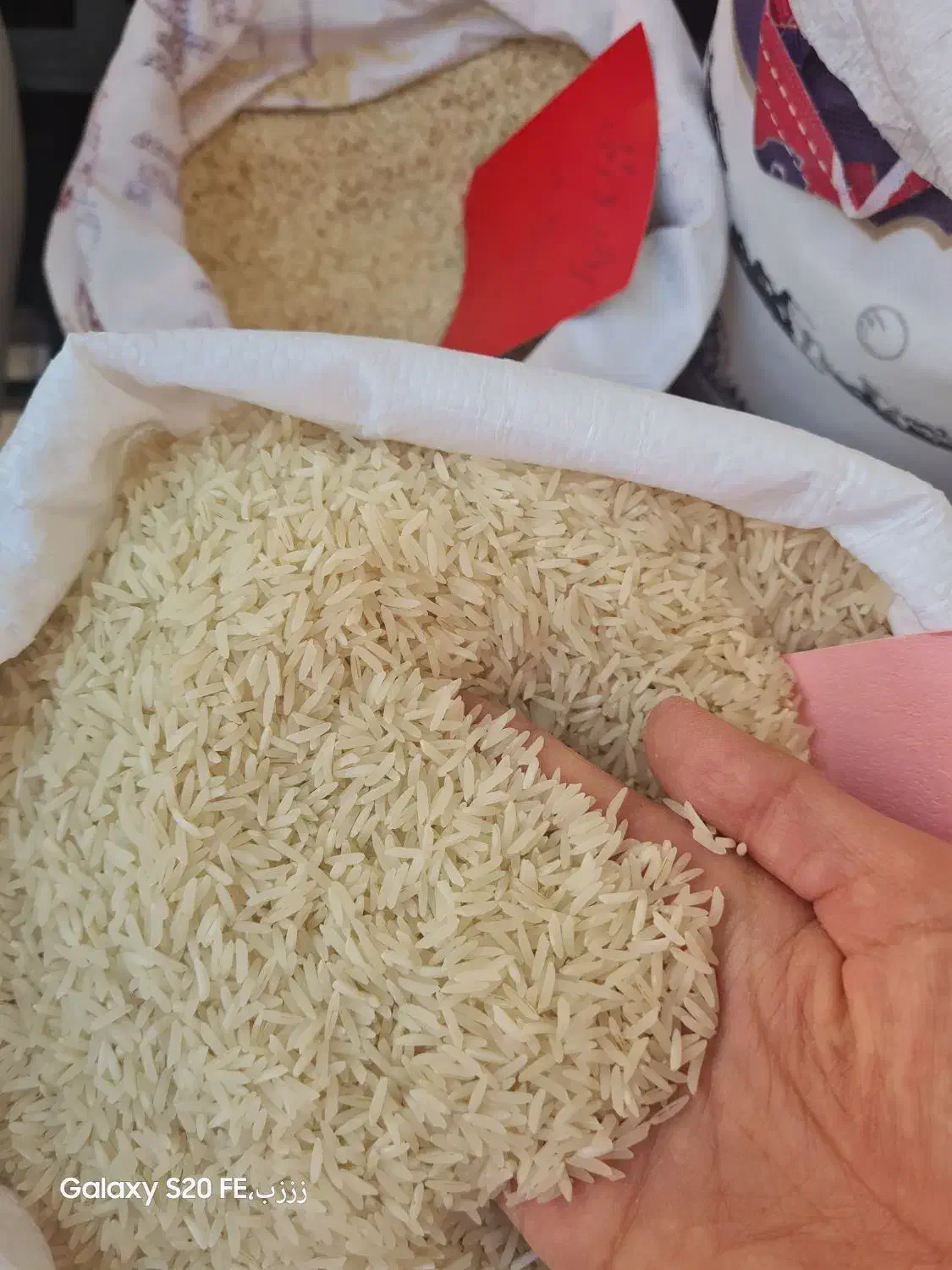 برنج امساله رسید، فجر سوزنی گرگان، هاشمی، دم سیاه|خوردنی و آشامیدنی|اسلام‌شهر, شهرک قائمیه|دیوار