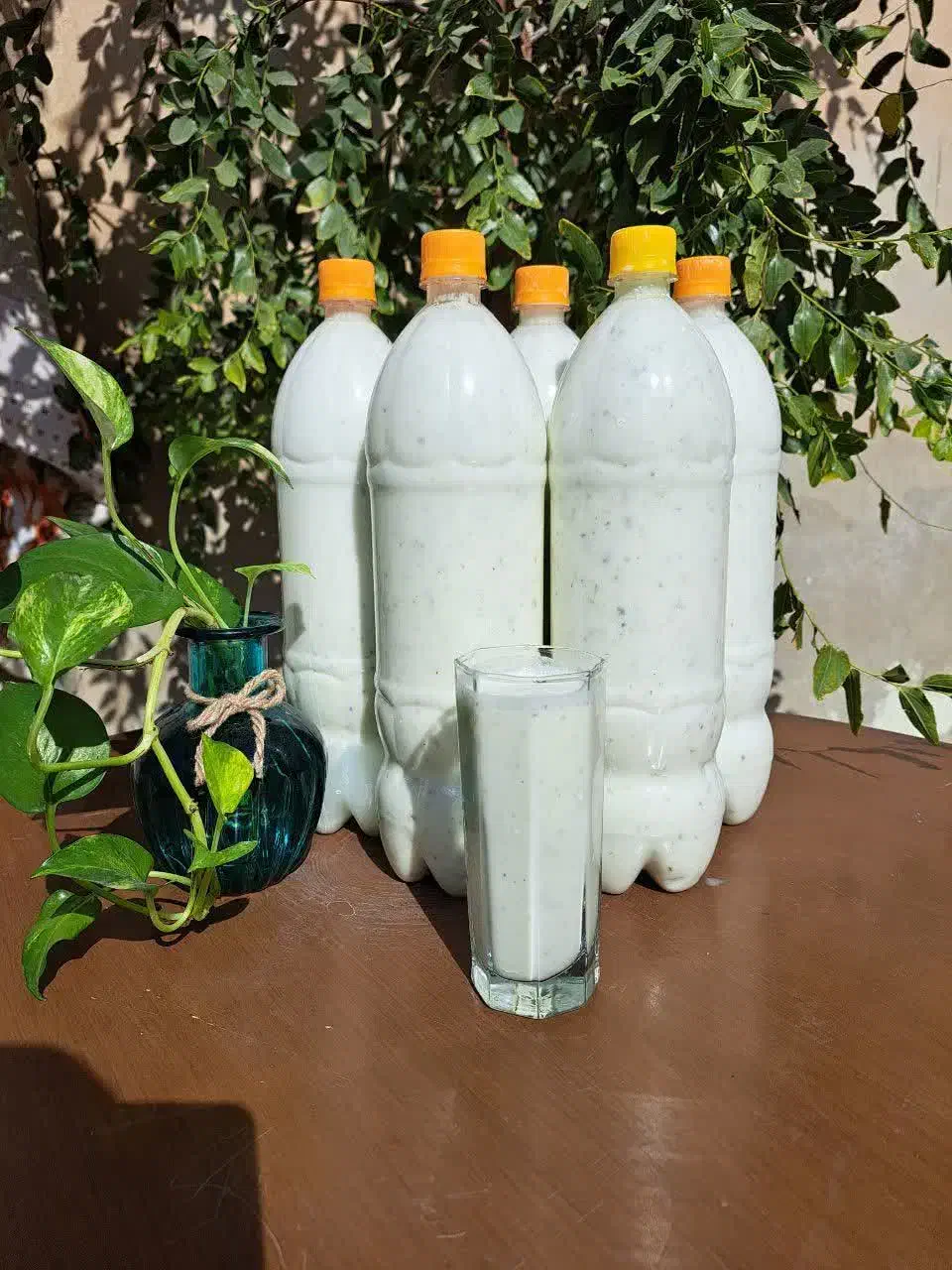 لبنیات سنتی و خانگی|خوردنی و آشامیدنی|مشهد, شهید احمدی روشن|دیوار