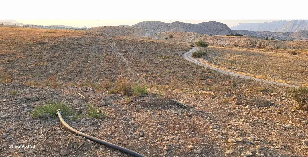 زمین باغی روستای توریستی سرآب‌ننیز گچساران|فروش زمین و ملک کلنگی|باشت, |دیوار