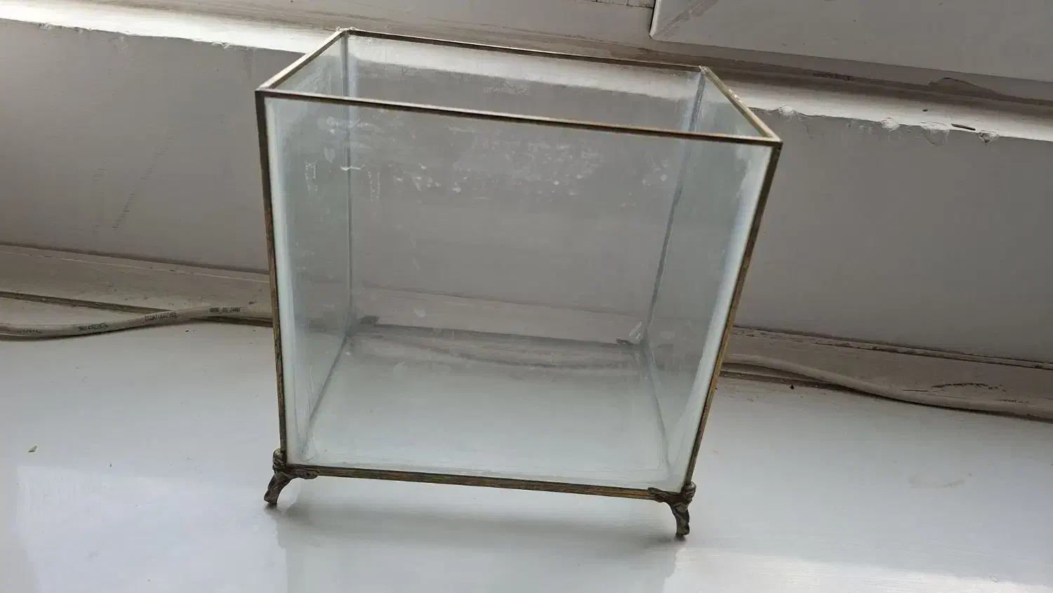 اکواریم ماهی|ماهی|بوشهر, |دیوار