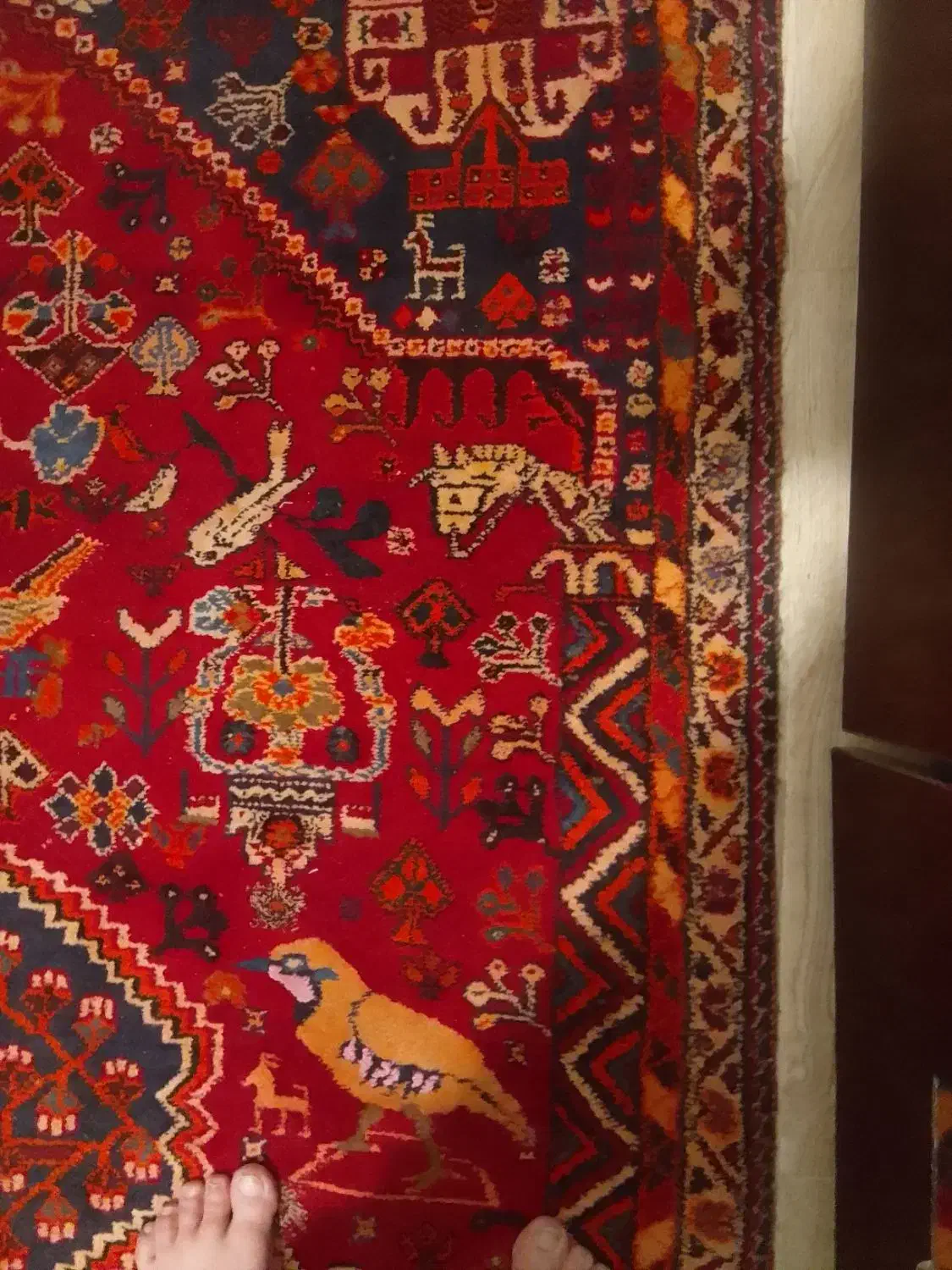 قالیچه پشمی دستباف|فرش|گرگان, |دیوار