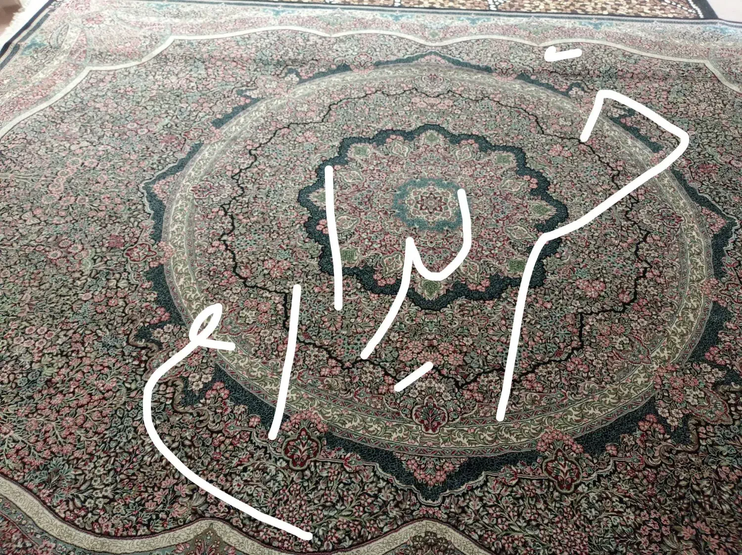 فرش ۹ متری|فرش|کرمانشاه, |دیوار