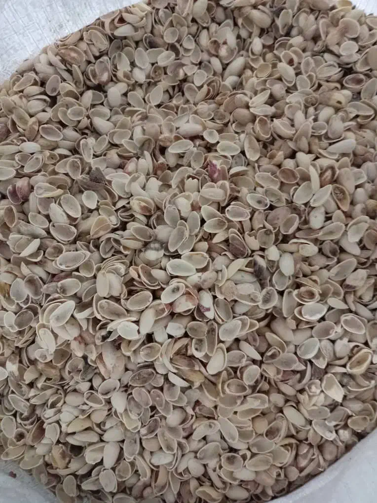 پوست پسته خرید ارم|خدمات باغبانی و درختکاری|قائن, |دیوار