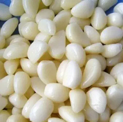 سیر پوست کنده|خوردنی و آشامیدنی|اندیشه, اندیشه فاز ۱|دیوار