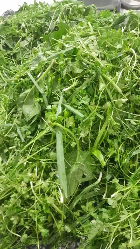 سبزی های خانگی بابهترین طعم وکیفیت|خوردنی و آشامیدنی|شیراز, کوشک بیدک|دیوار