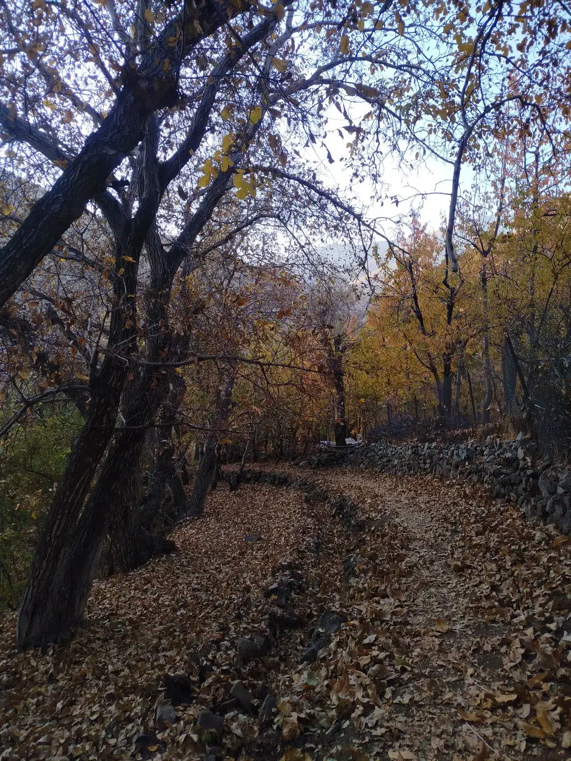 باغ|فروش زمین و ملک کلنگی|لواسان, |دیوار