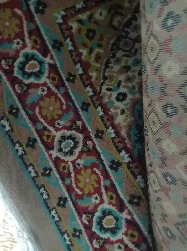 قالی/فرش ۶ متری|فرش|دورود, |دیوار