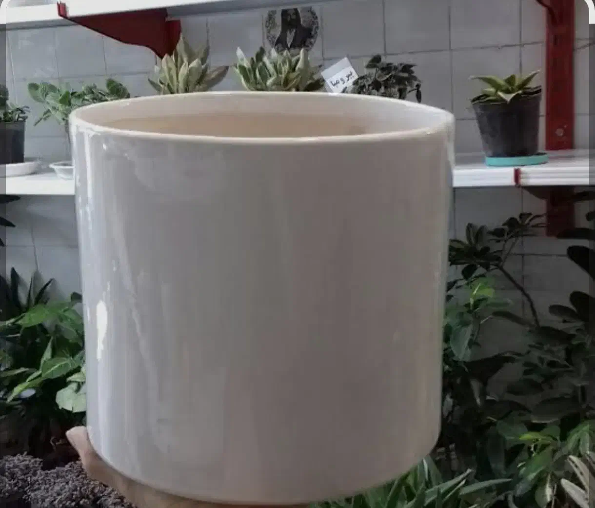 گلدون|گل و گیاه طبیعی|پرند, فاز ۶|دیوار