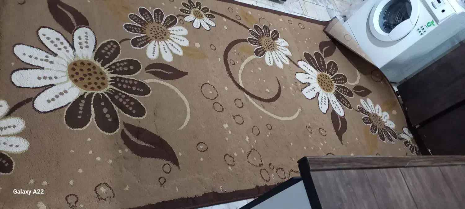 گلیم فروش و بوفه|گلیم، جاجیم، گبه|محمدشهر, محمدشهر|دیوار