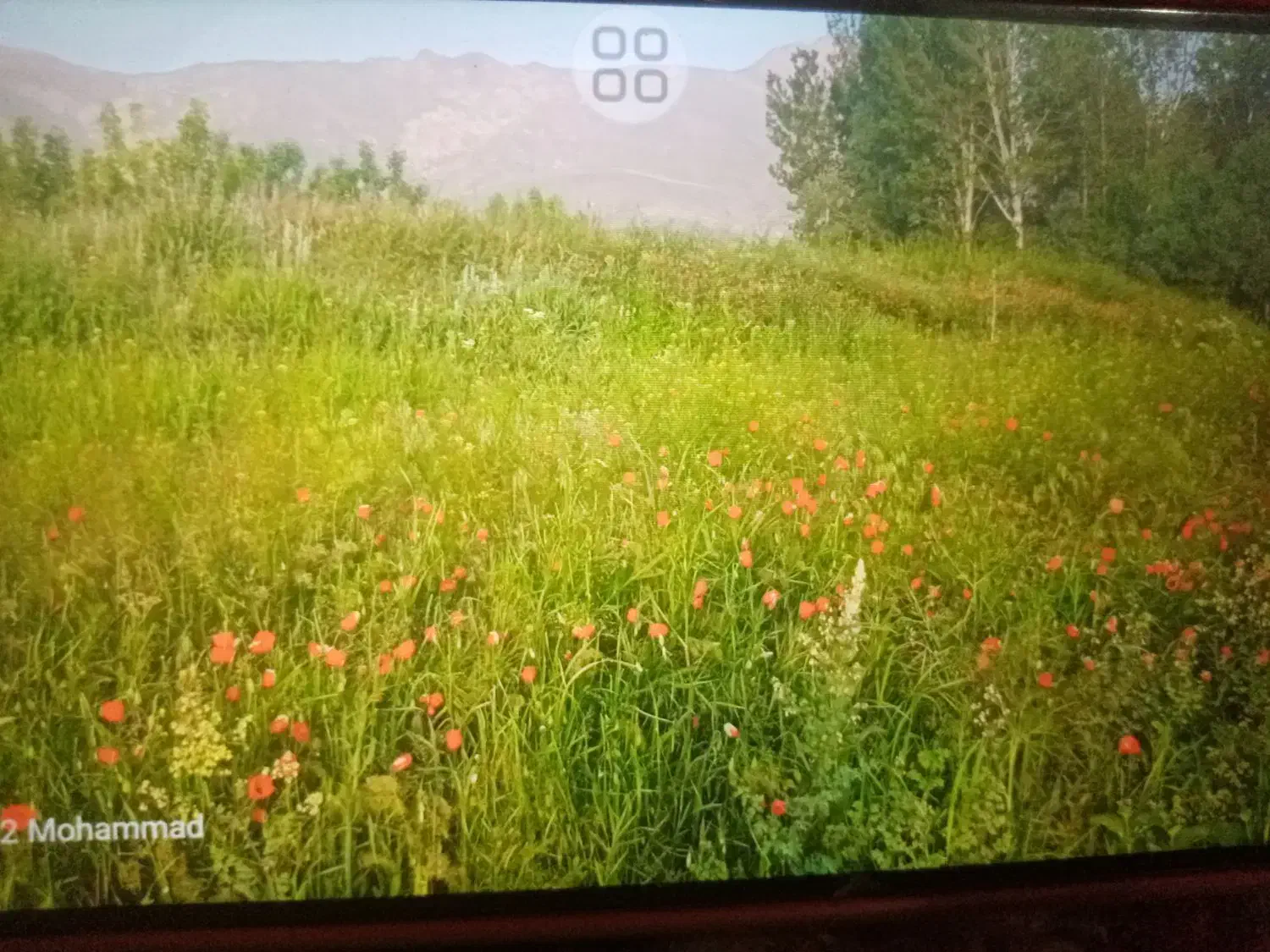 باغ و زمین زراعی|فروش زمین و ملک کلنگی|کشکسرای, |دیوار