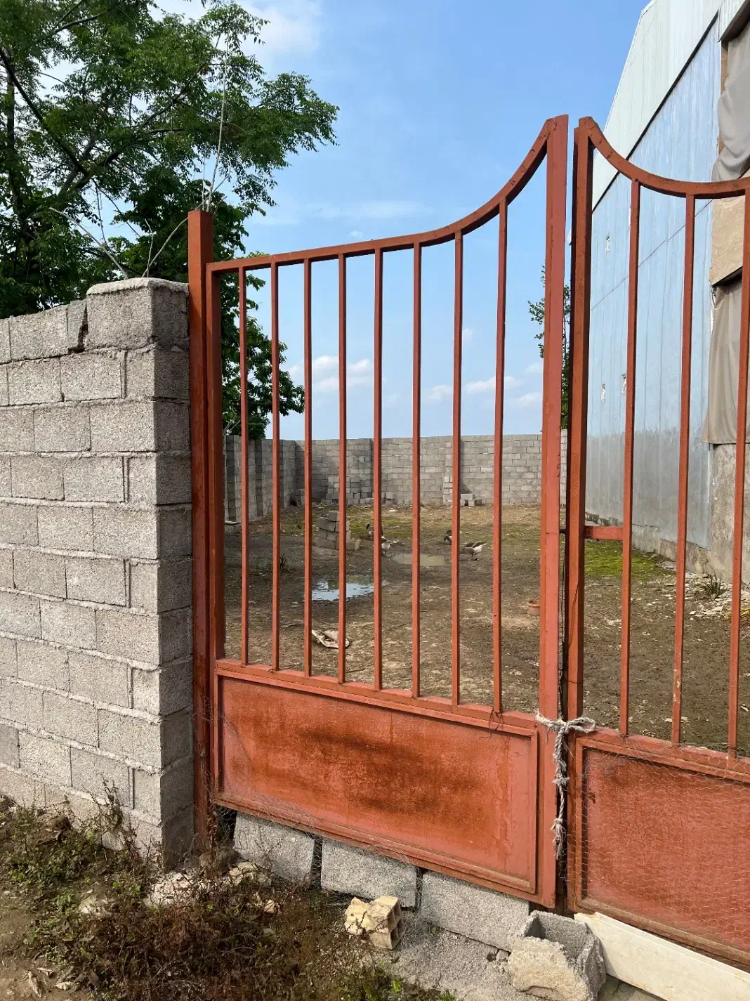 ۲۲۷ متر زمین شهر لولمان استانه اشرفیه|فروش زمین و ملک کلنگی|لولمان, |دیوار