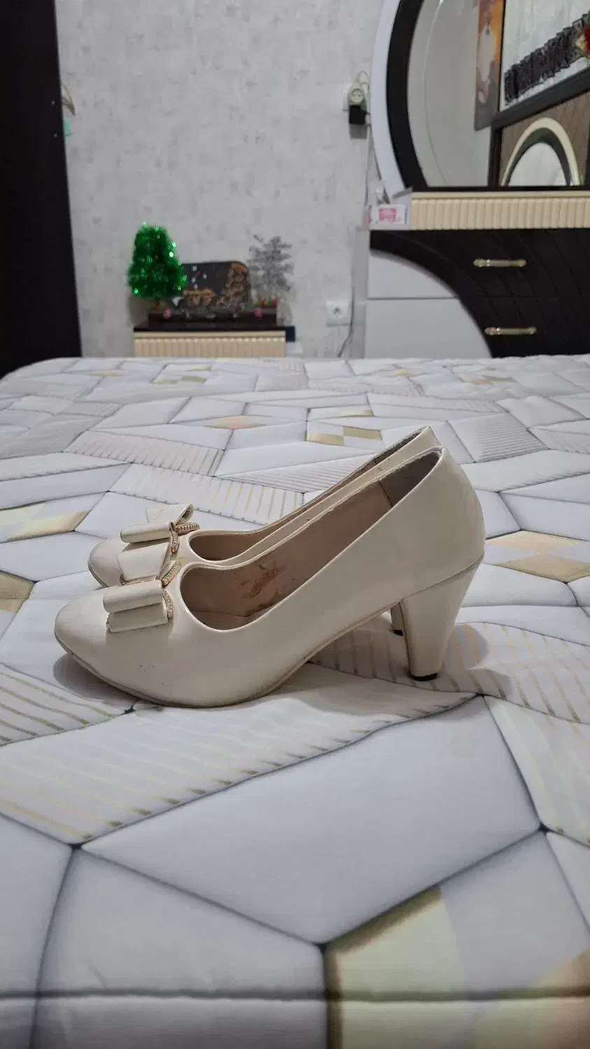 کفش مجلسی|کیف، کفش، کمربند|گنبد کاووس, |دیوار