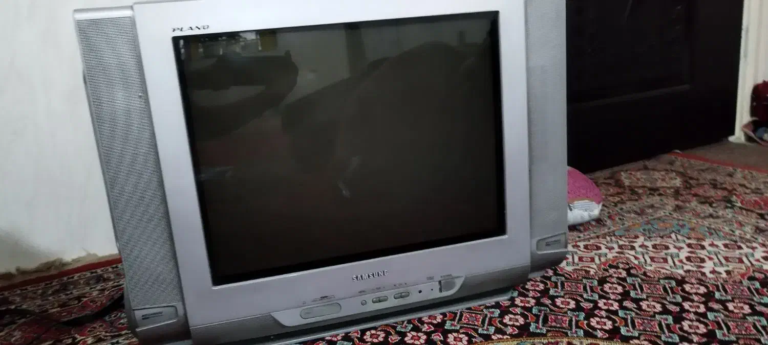 تلویزیون|تلویزیون و پروژکتور|برازجان, |دیوار