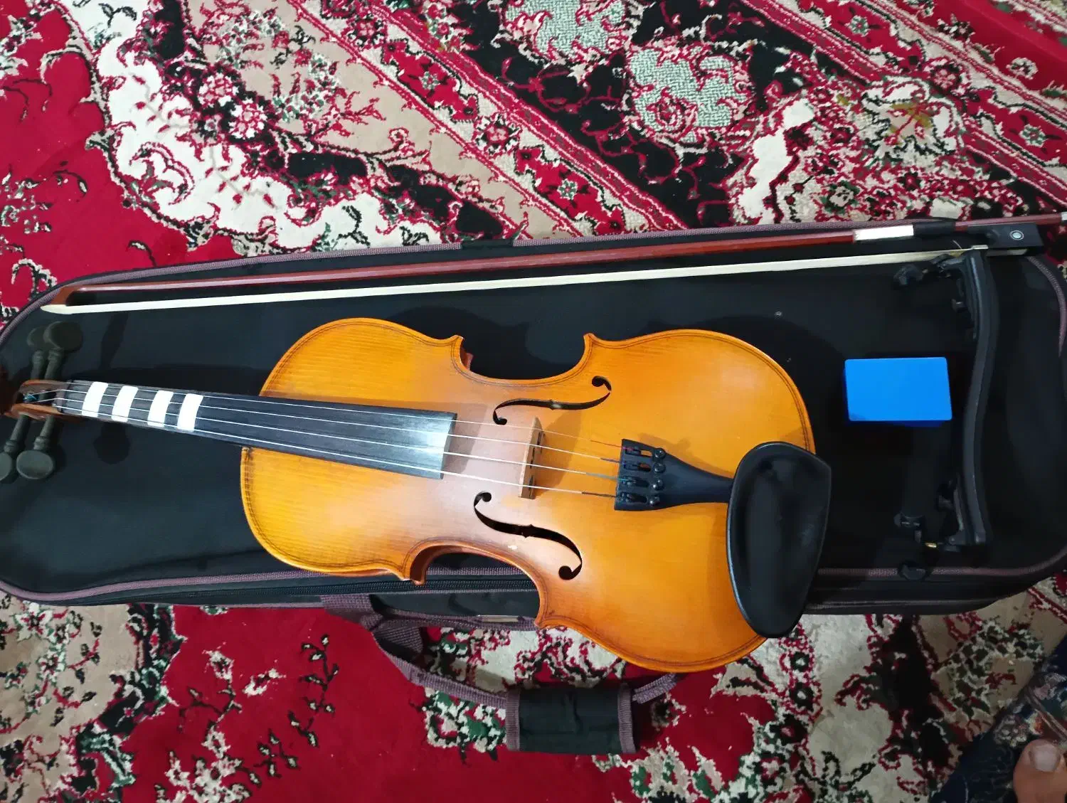 ویالون|ویولن|باوی, |دیوار