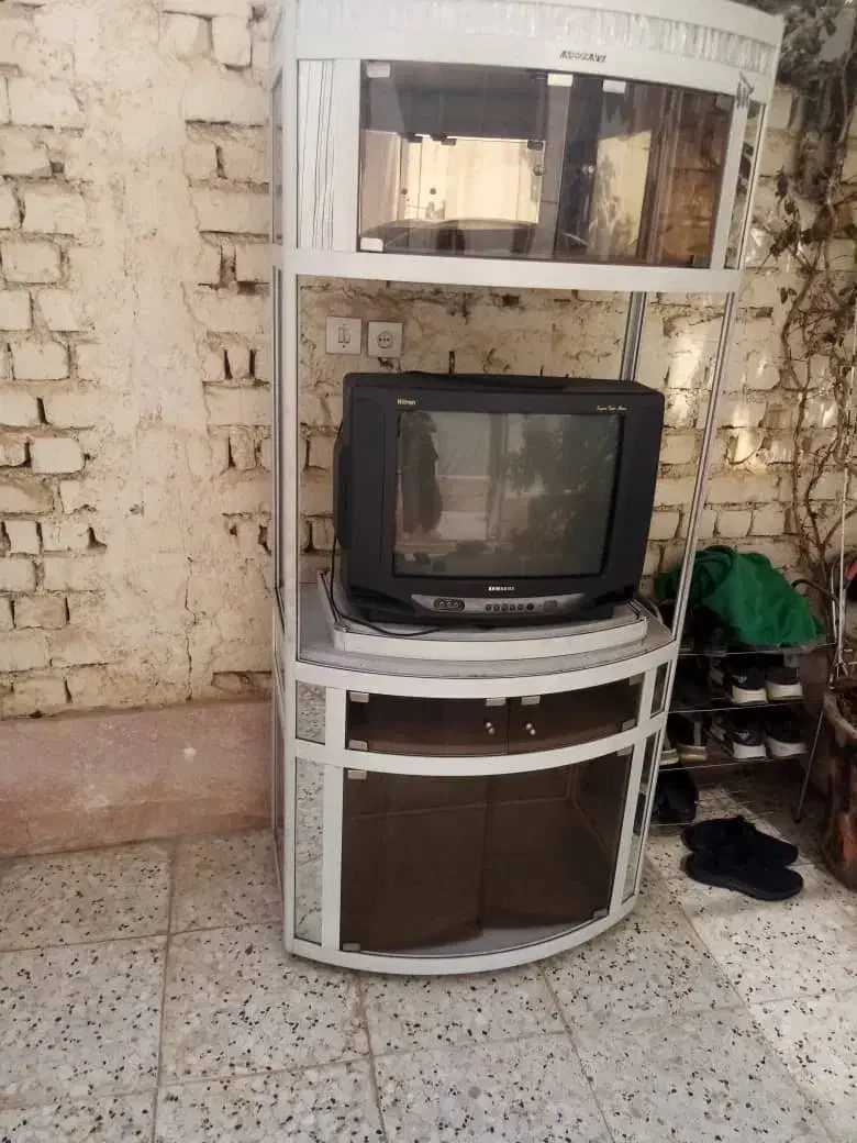 تلویزیون بهمراه میز تلویزیون|تلویزیون و پروژکتور|برخوار, |دیوار