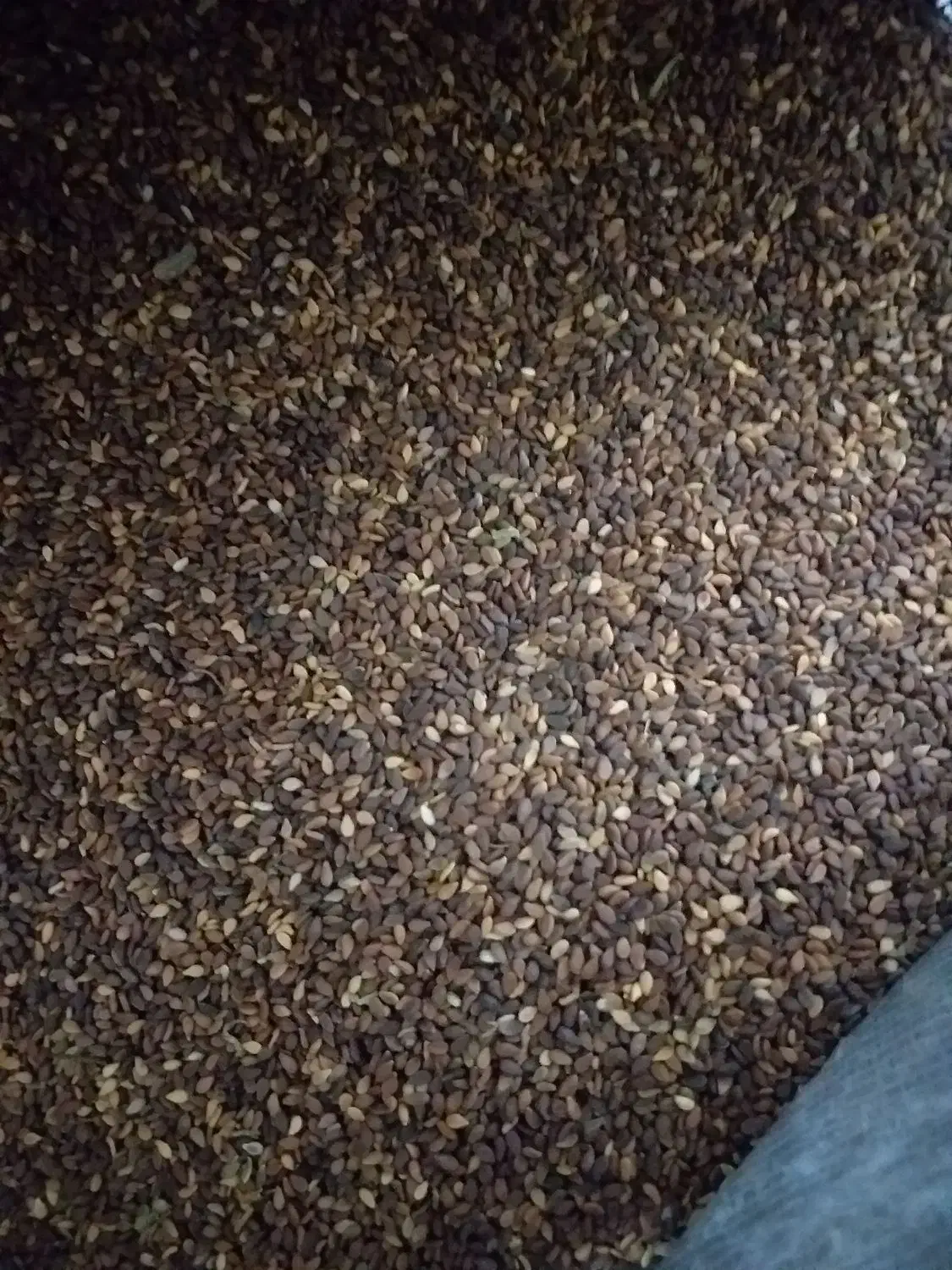 کنجد درجه یک|خوردنی و آشامیدنی|دره شهر, |دیوار