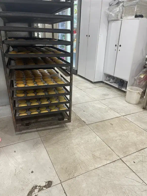 استاد کار ماهر شیرینی خامه ای|استخدام خدمات فروشگاه و رستوران|مشگین شهر, |دیوار