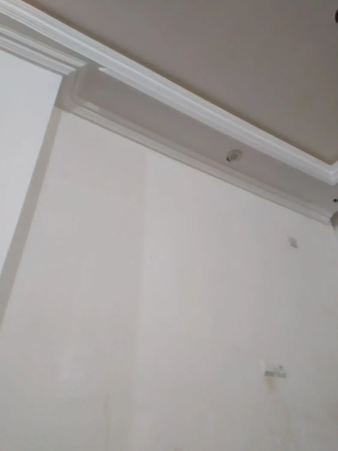 بنای صفر تا صد ساختمان|خدمات پیشه و مهارت|ایذه, |دیوار