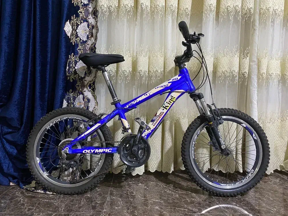 دوچرخه بیست دندای|دوچرخه، اسکیت، اسکوتر|یاسوج, |دیوار