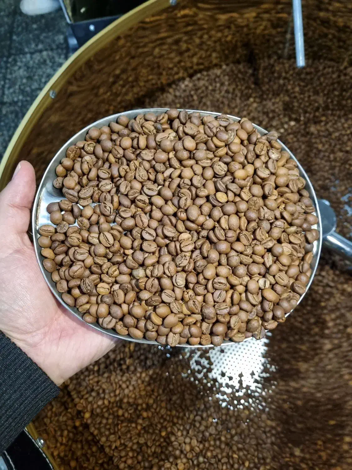 sc18دان مدیوم تفت/قهوه ویتنام،چری.|خوردنی و آشامیدنی|تهران, تهرانسر شمالی|دیوار