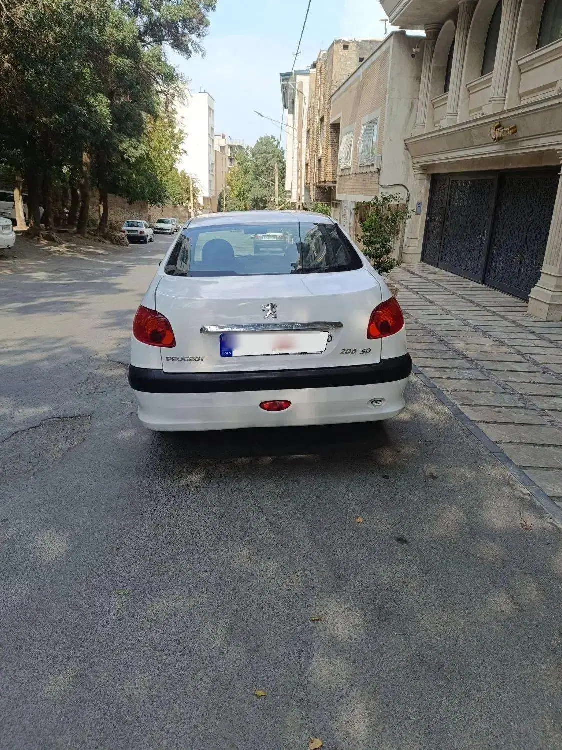 206 sd v8|خودرو سواری و وانت|همدان, |دیوار