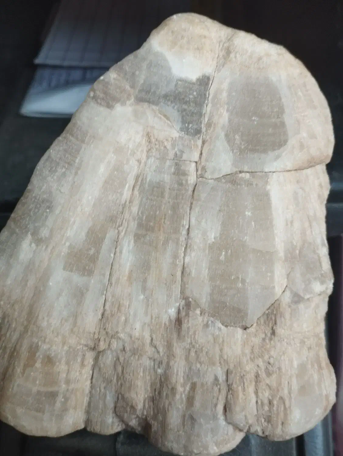 سنگ|کلکسیون اشیاء عتیقه|ساوه, |دیوار