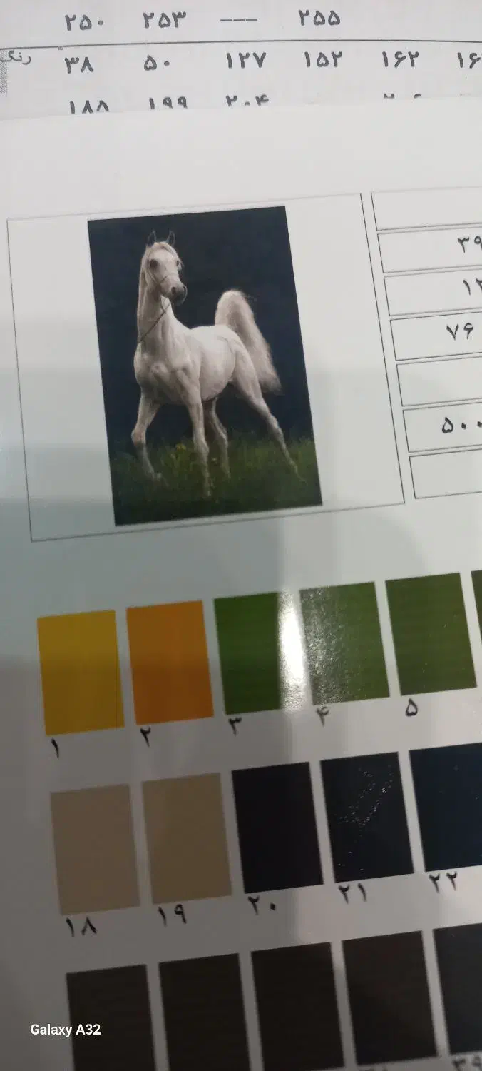 دار قالی نخ نقشه|تابلو فرش|نظرآباد, نظرآباد|دیوار