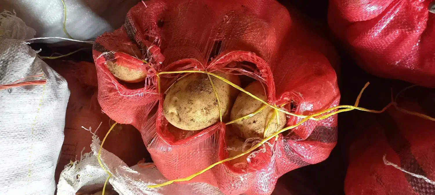 فروش سیب زمینی جلی|خوردنی و آشامیدنی|شاهنجرین, |دیوار