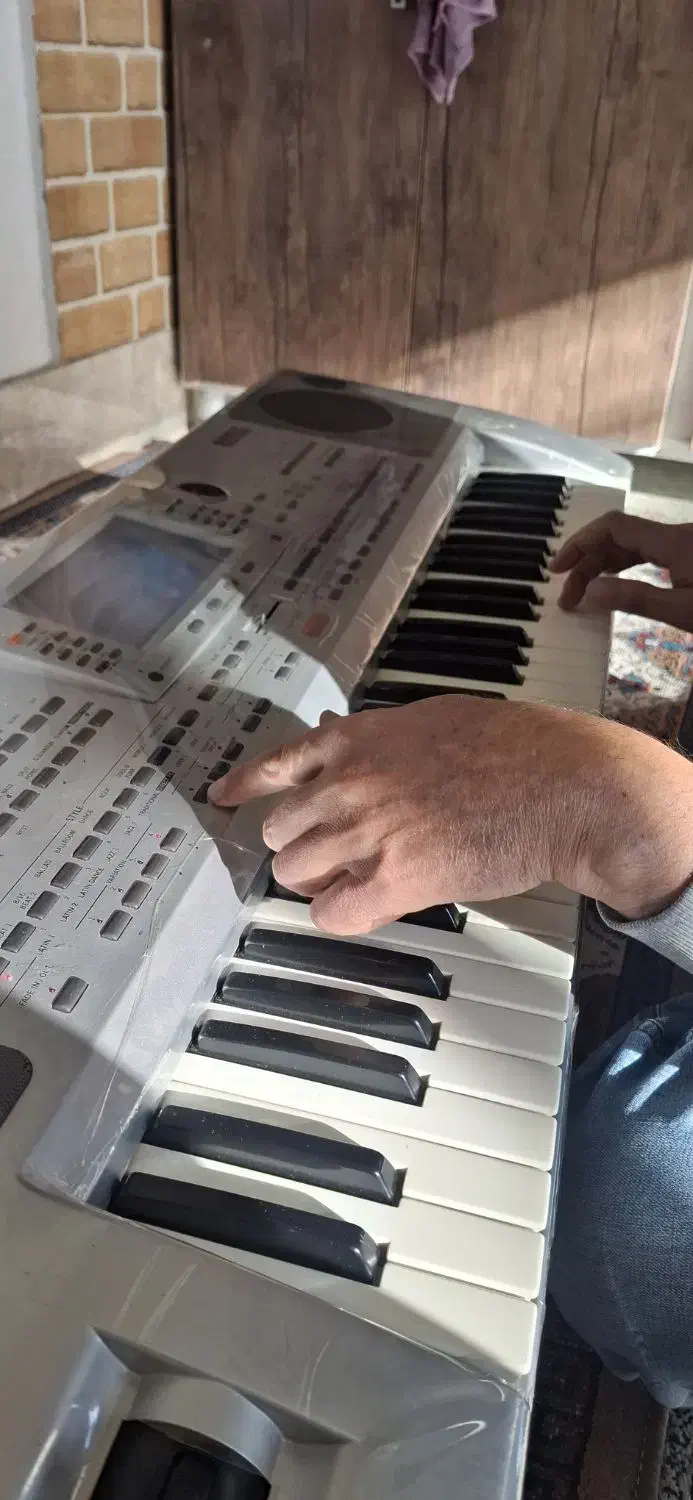 در حد|پیانو، کیبورد، آکاردئون|خرم بید, |دیوار