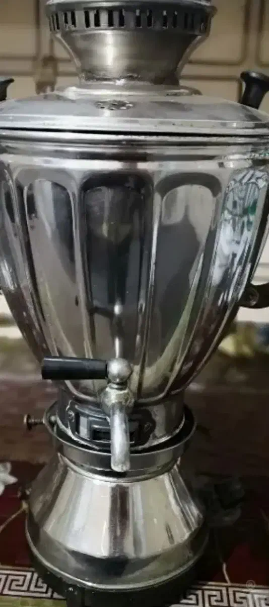 پرنده|پرنده|حمیدیا, |دیوار