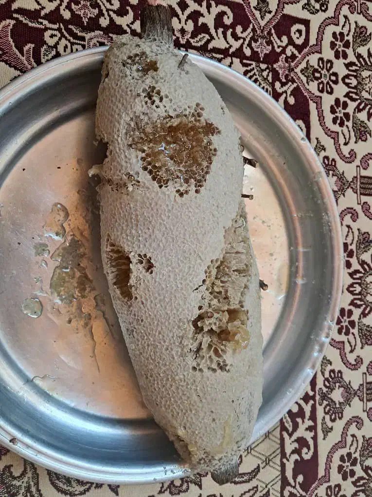 عسل سرشاخه|خوردنی و آشامیدنی|بوشکان, |دیوار