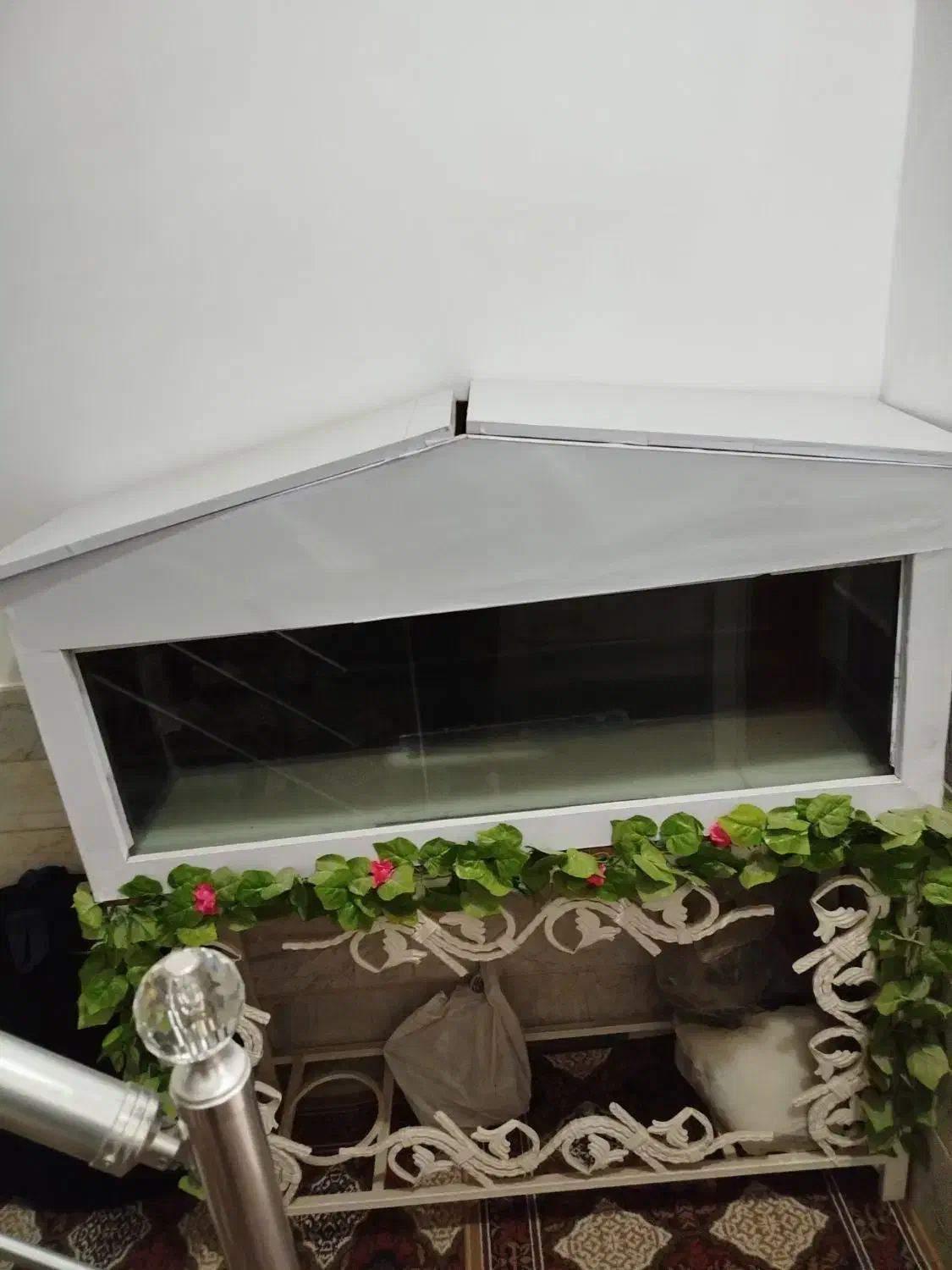 آکواریوم|ماهی|قم, کیوانفر|دیوار