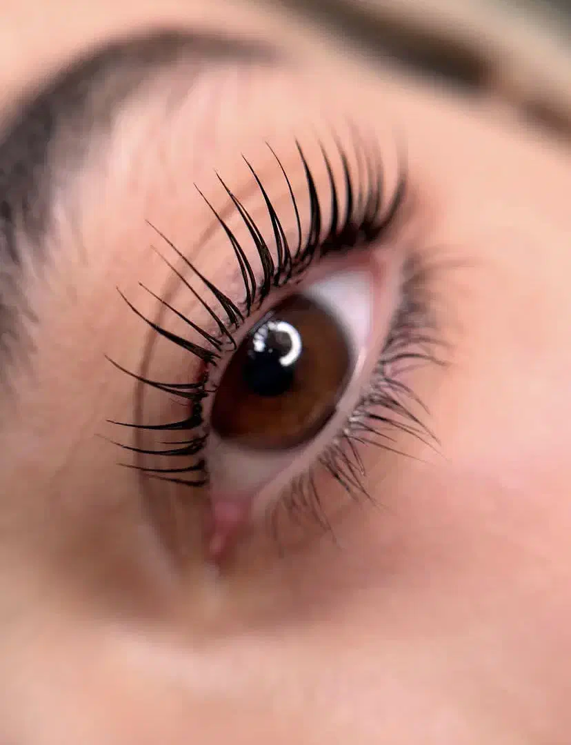 مدل لیفت مژه و ابرو|خدمات آرایشگری و زیبایی|سنندج, |دیوار