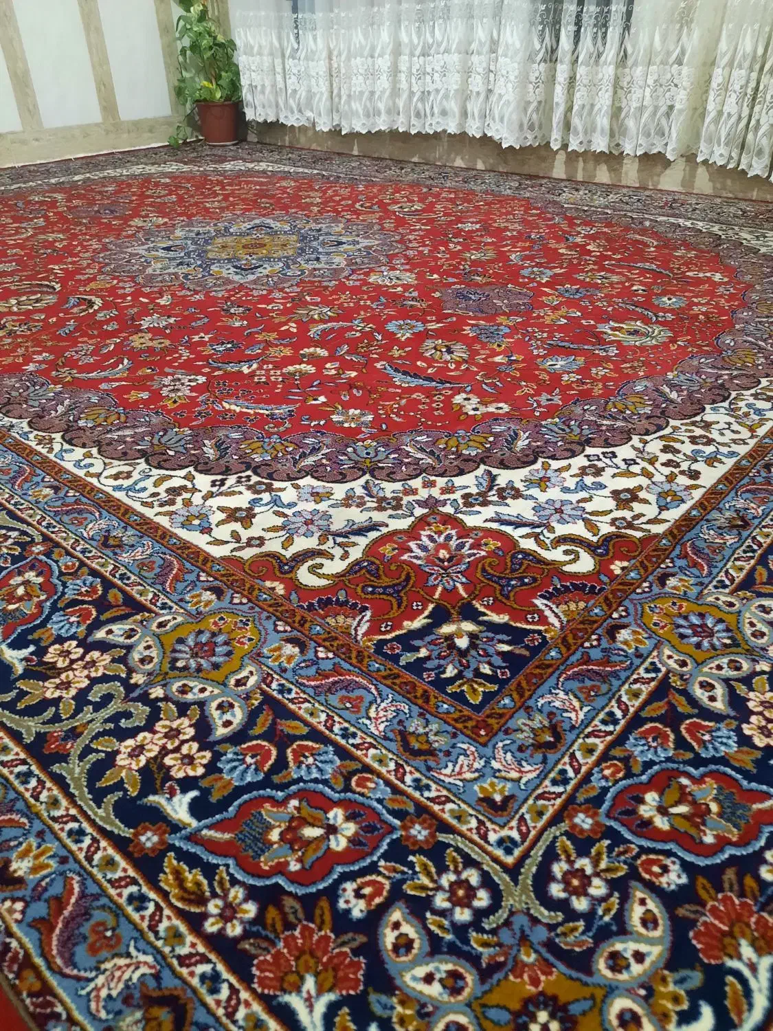 فرش ۱۲ متری لاکی نخ|فرش|شیراز, دارالرحمه|دیوار