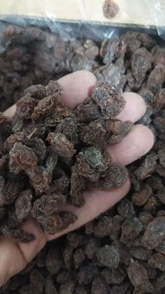 کشمش مویز|عمدهفروشی|ری, ملکآباد|دیوار