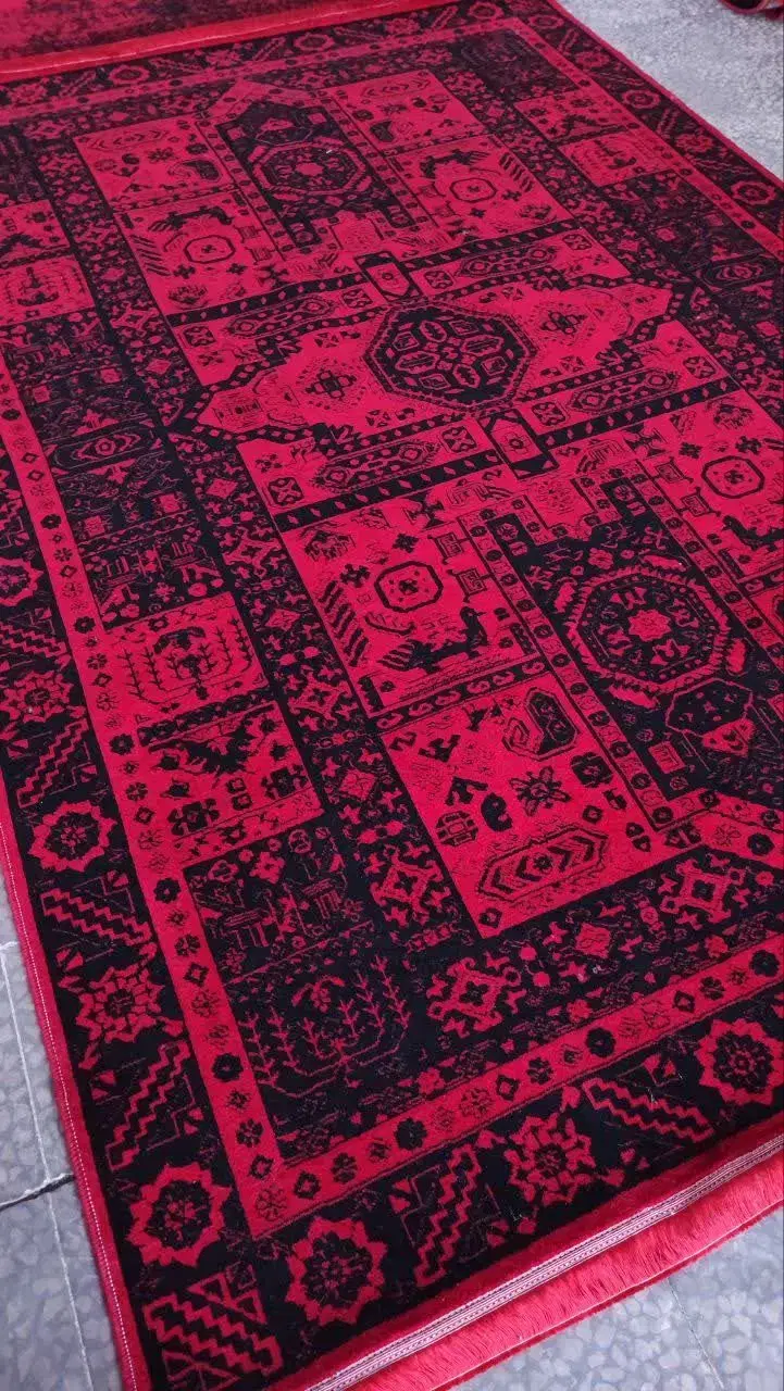 ۶متری دوتا|فرش|گرگان, |دیوار