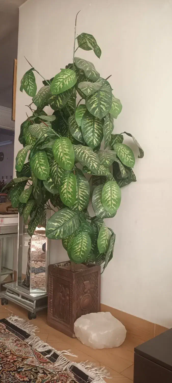 درخت مصنوعی|گل مصنوعی|خمینی‌شهر, |دیوار