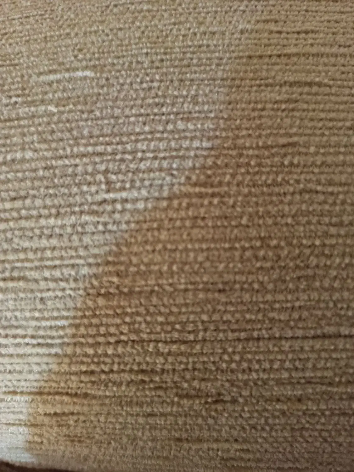 پیداشده|جواهرات|زابل, |دیوار