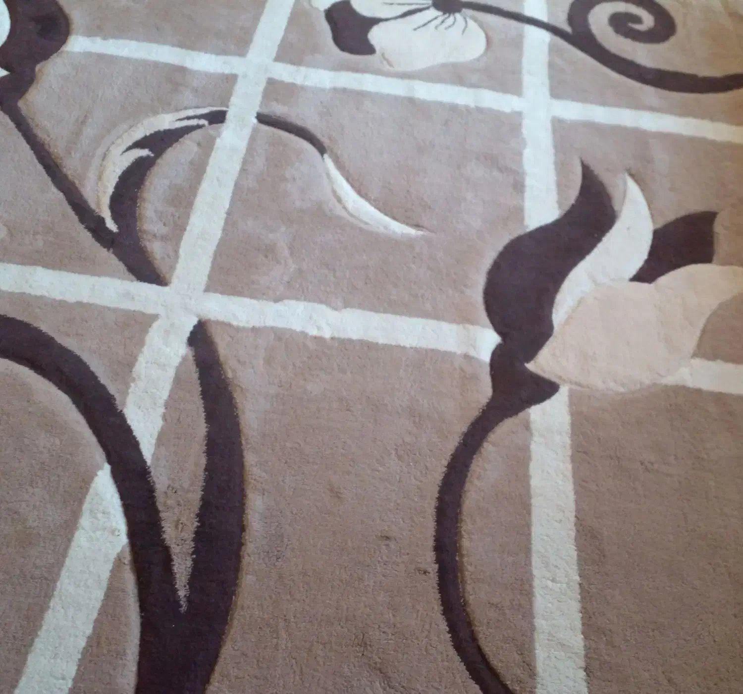 فرش|فرش|شیراز, کوی وحدت|دیوار