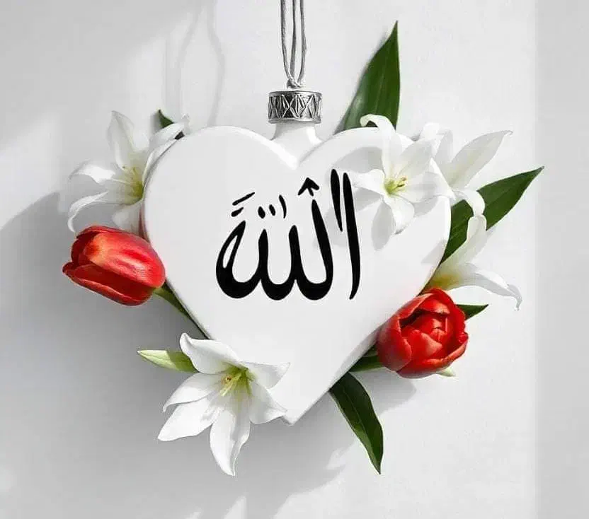 دعا و طالع رایگان|خدمات پذیرایی، مراسم|زاهدان, |دیوار