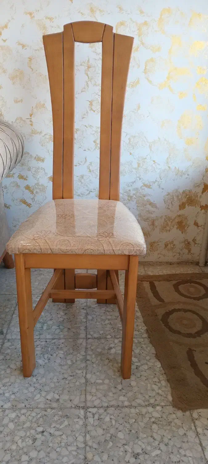 صندلی ناهار خوری|میز و صندلی غذاخوری|بندر انزلی, گلشن|دیوار