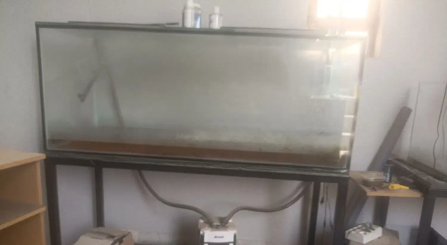 آکواریوم و تجهیزات|ماهی|یزد, |دیوار